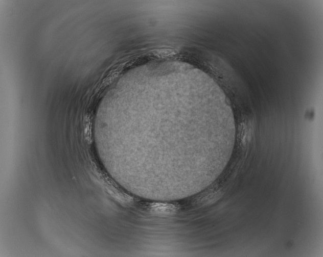 X0000115070234200911171137