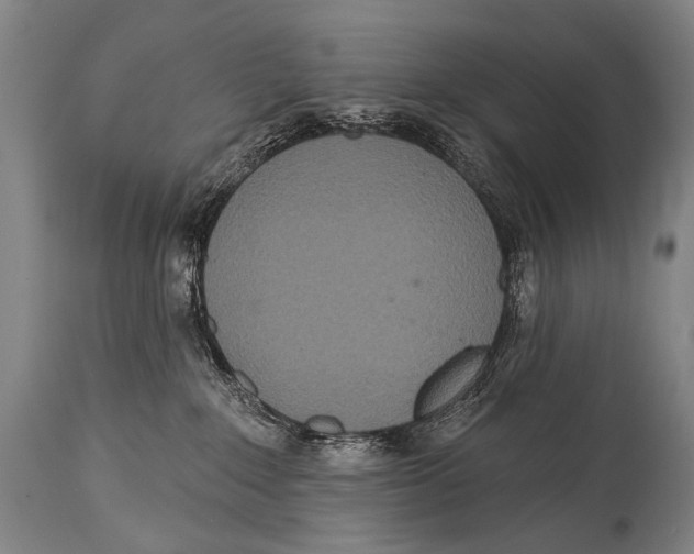 X0000115070235200911171137
