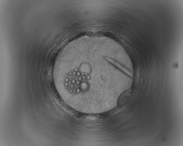 X0000115070236200911171137