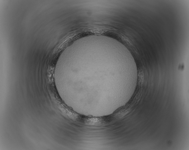 X0000115070237200911171137