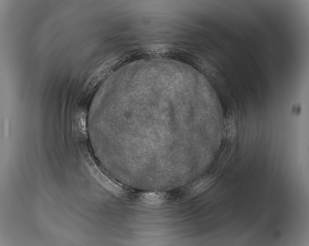 X0000115070238200911171137