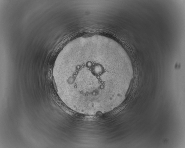 X0000115070240200911171137