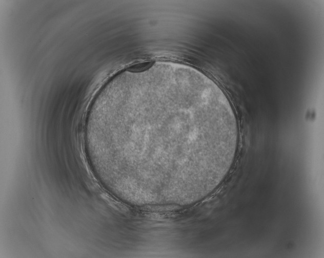 X0000115070241200911171136