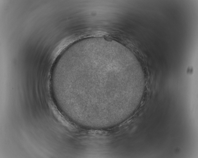 X0000115070242200911171136