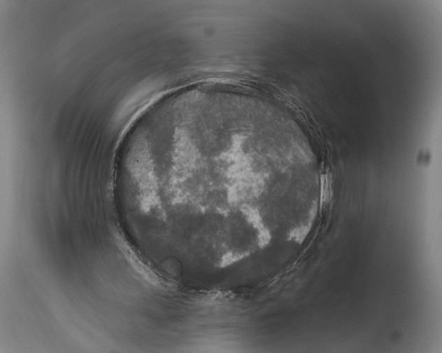 X0000115070243200911171136
