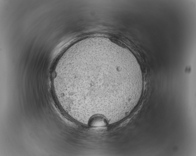 X0000115070245200911171136