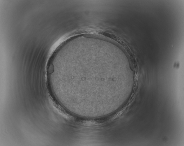 X0000115070246200911171136