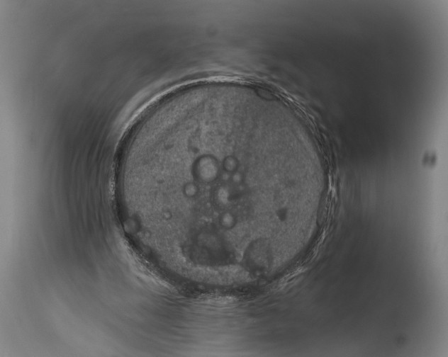 X0000115070247200911171136