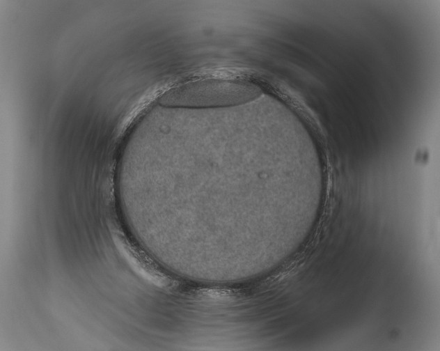 X0000115070250200911171136