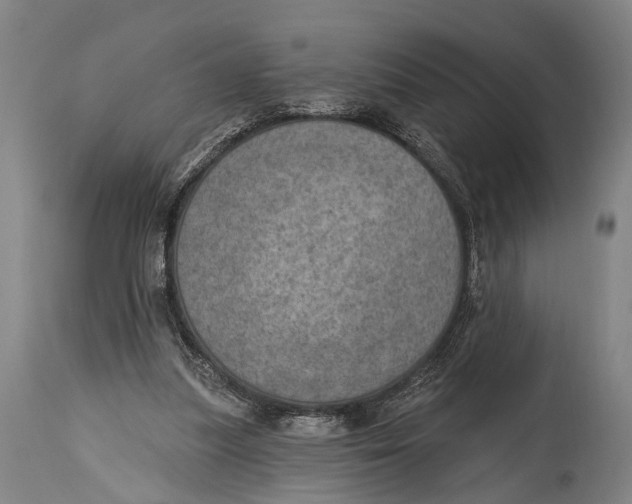 X0000115070251200911171136