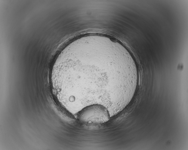 X0000115070253200911171137