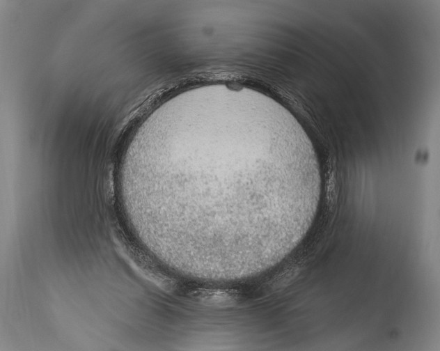 X0000115070254200911171137