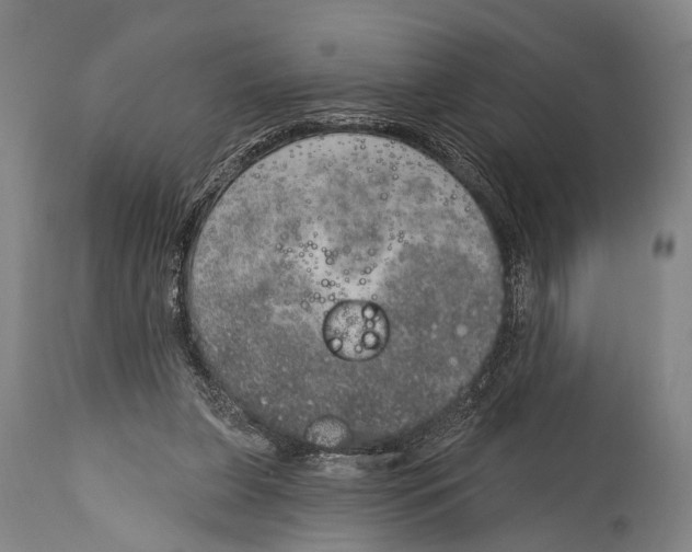 X0000115070255200911171137