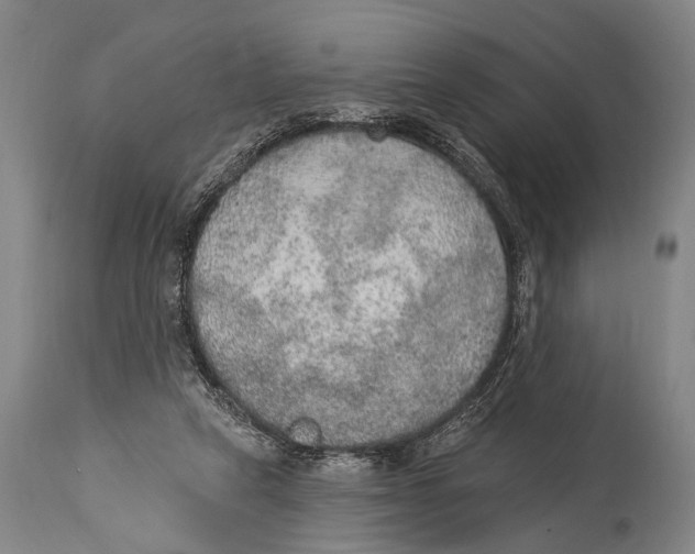 X0000115070257200911171137