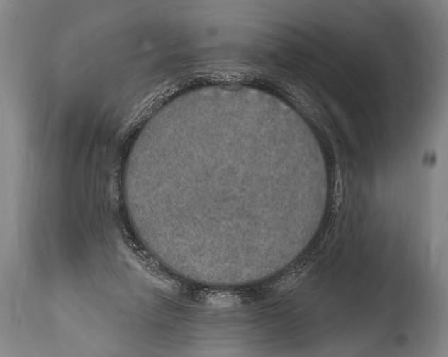 X0000115070258200911171137