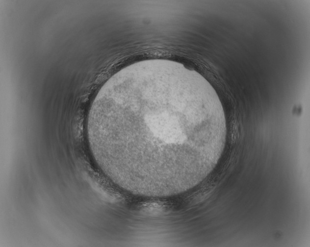 X0000115070259200911171137