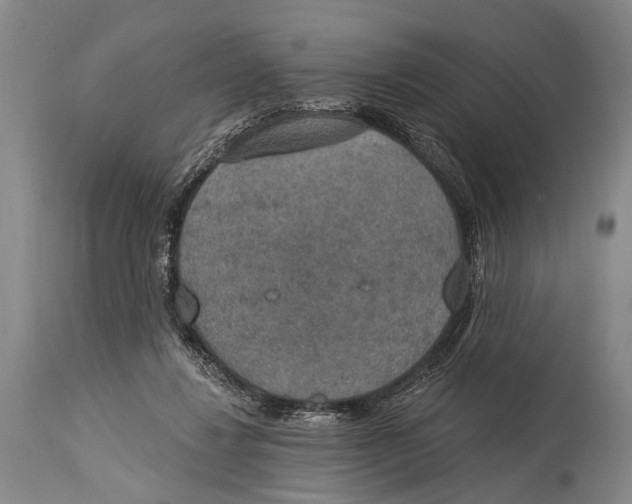 X0000115070260200911171137