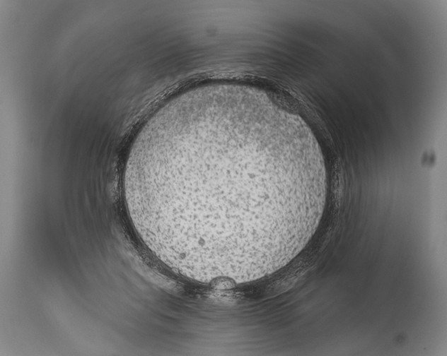 X0000115070261200911171137