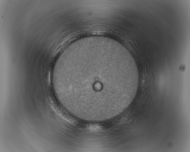 X0000115070262200911171137