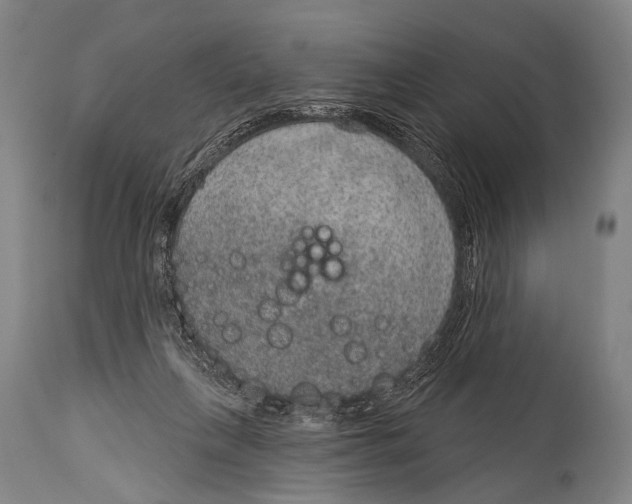X0000115070263200911171137