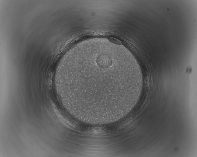 X0000115070264200911171137