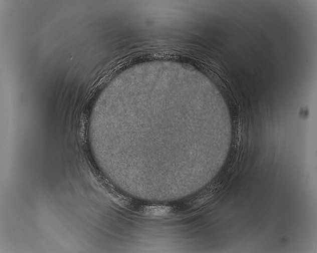 X0000115070266200911171137