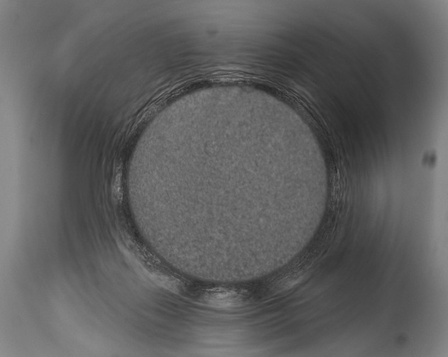 X0000115070267200911171137