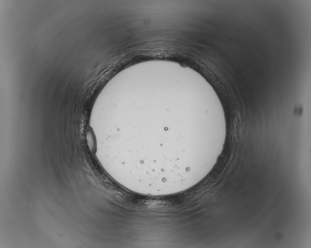 X0000115070268200911171137