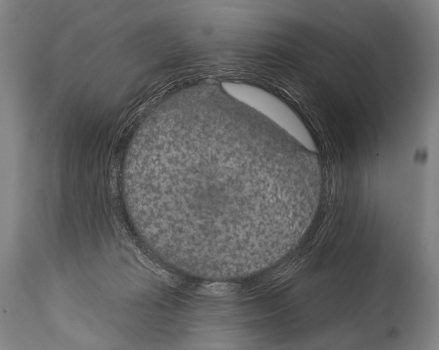 X0000115070269200911171137