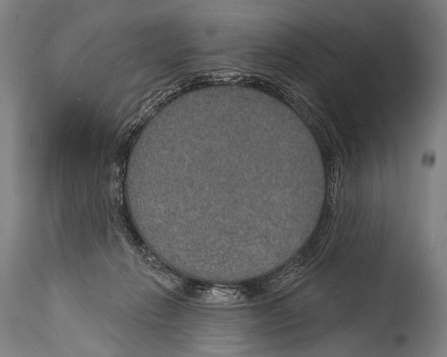 X0000115070270200911171137
