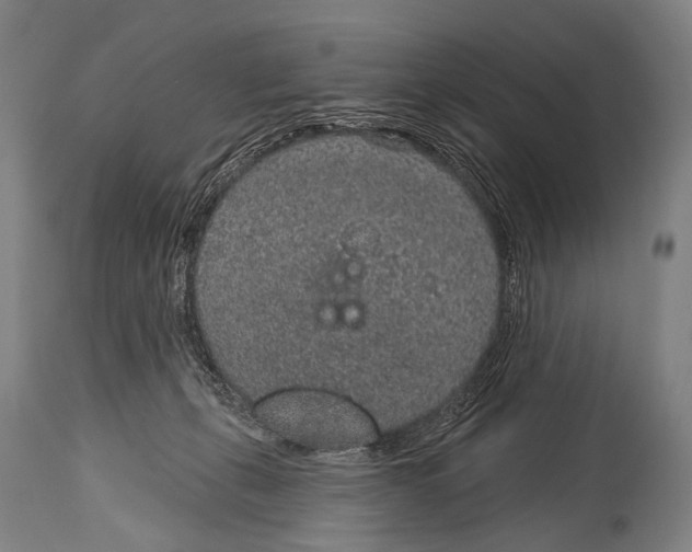 X0000115070271200911171137