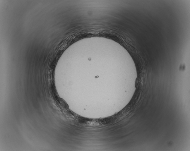 X0000115070272200911171137