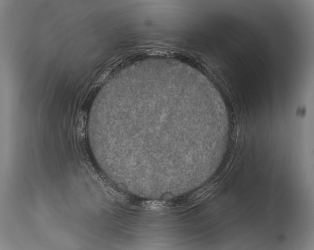 X0000115070273200911171137