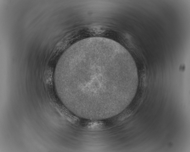 X0000115070274200911171137