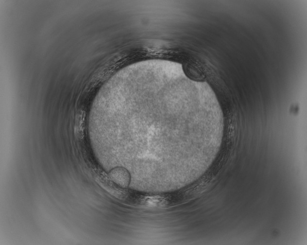 X0000115070275200911171137
