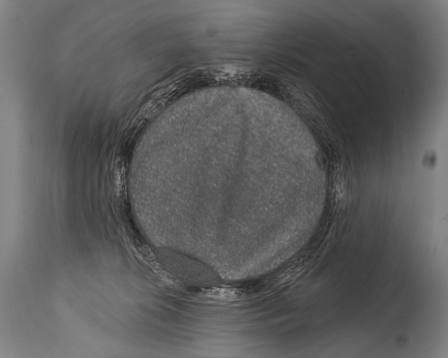 X0000115070276200911171137