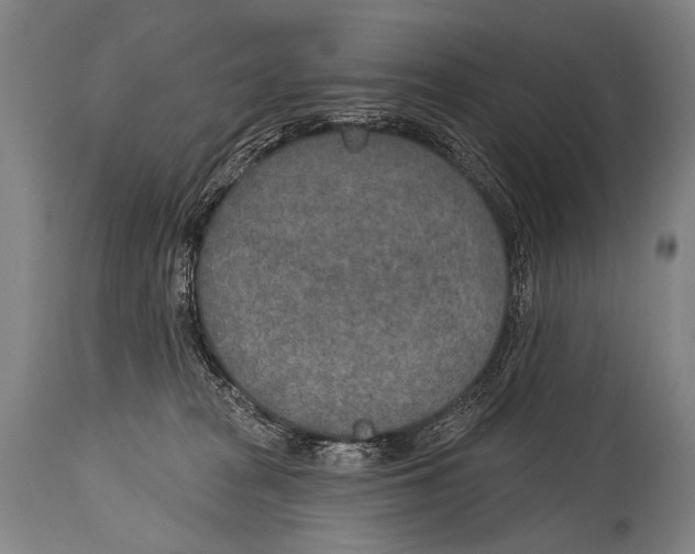 X0000115070277200911171137