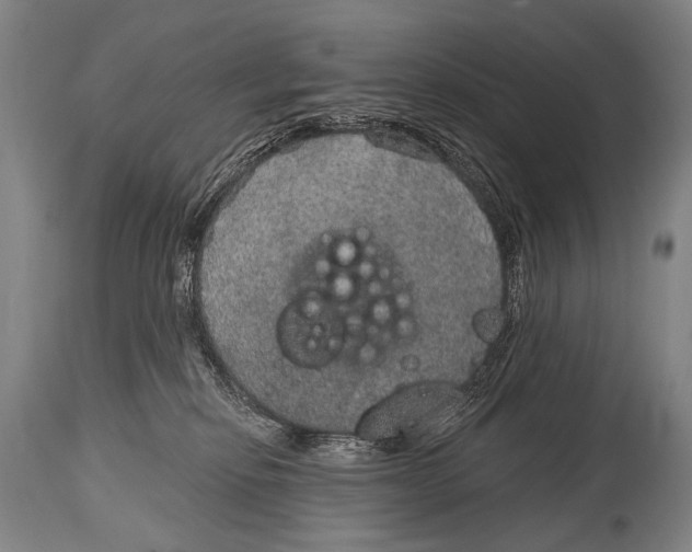 X0000115070278200911171137