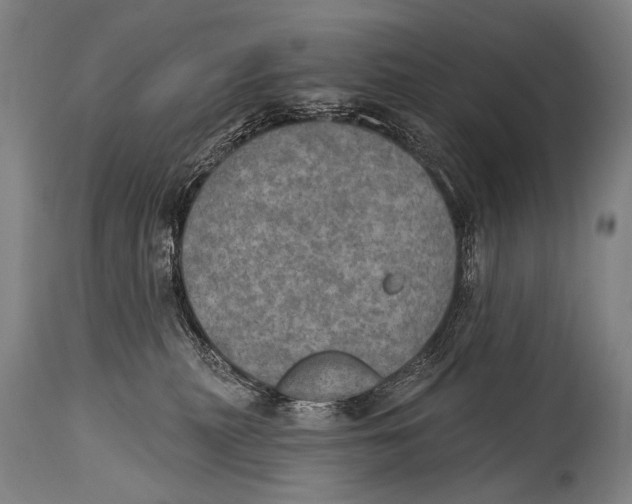 X0000115070279200911171137