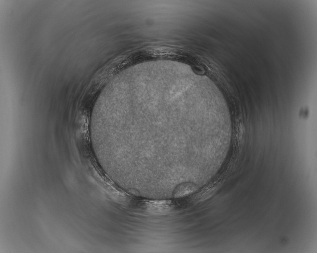 X0000115070281200911171137