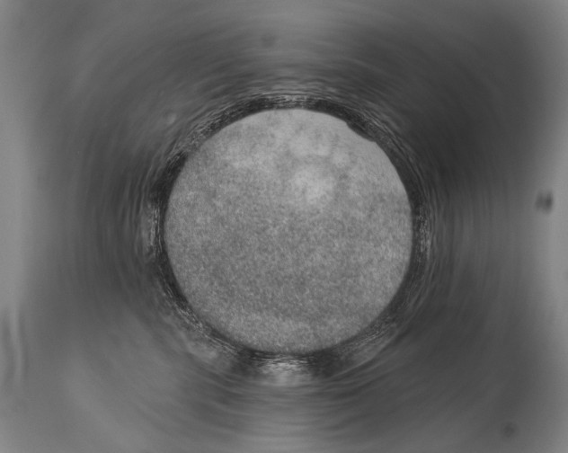 X0000115070283200911171137