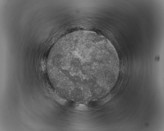 X0000115070285200911171137