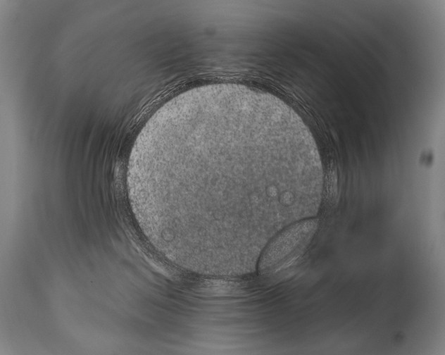 X0000115070286200911171137