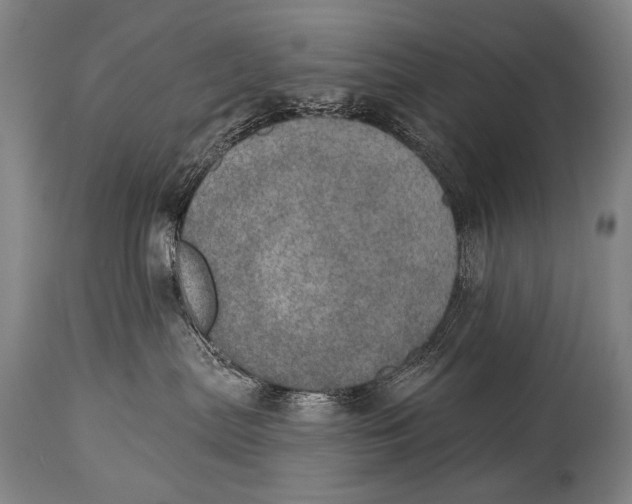 X0000115070287200911171137
