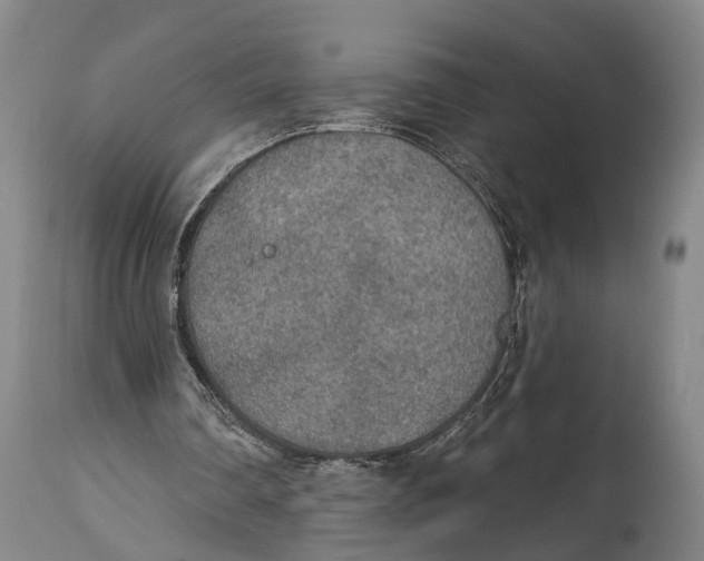 X0000115070290200911171136