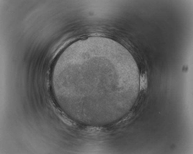 X0000115070291200911171136