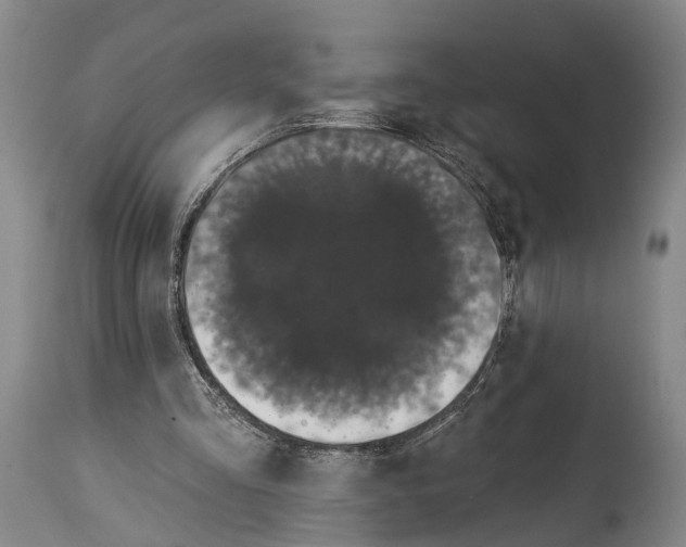 X0000115070293200911171136