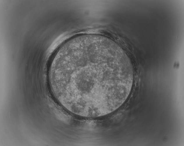 X0000115070295200911171136