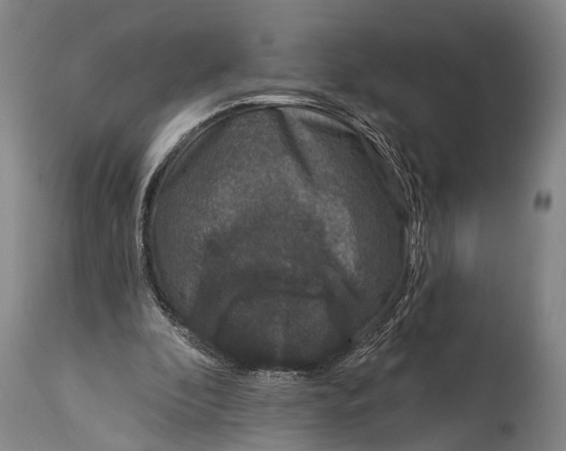 X0000115070296200911171136