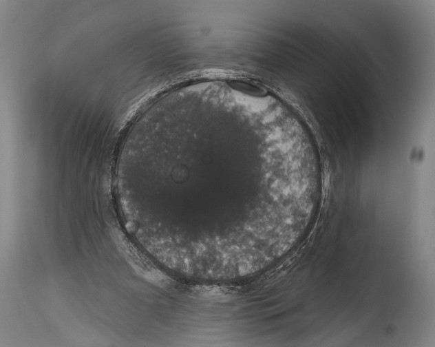 X0000115070297200911171136